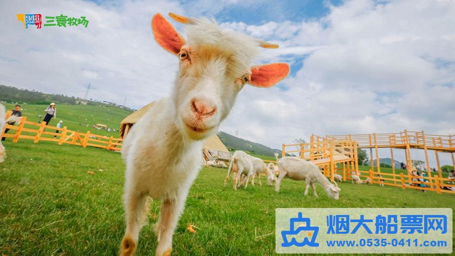 三寰牧场动物牧区