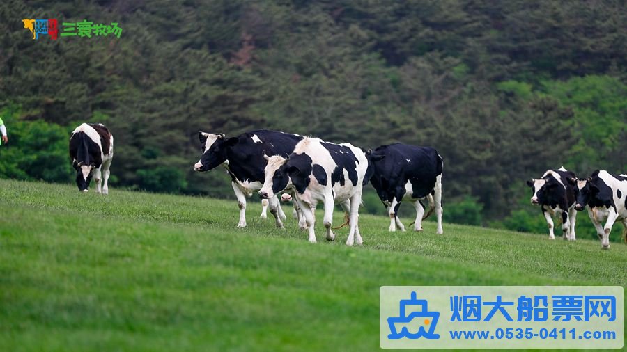 三寰牧场动物牧区