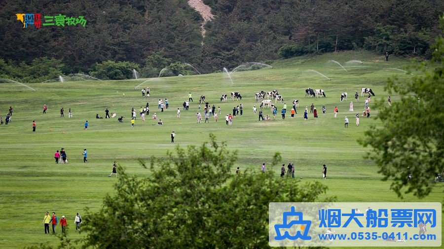 牧场观景台